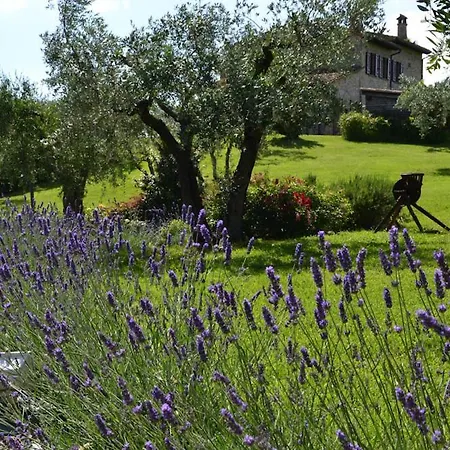 Sleeps 10 With Pool Air Con And Wifi Toscella