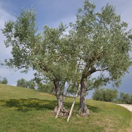 Sleeps 10 With Pool Air Con And Wifi Βίλα